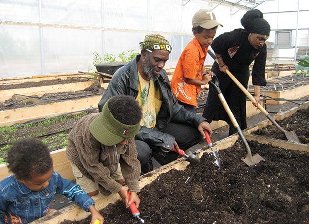 One garden at a time One garden at a time
