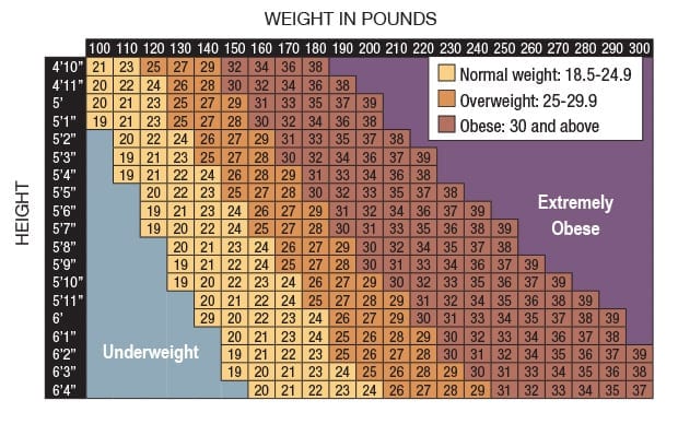 Bmi Waist Measurement Chart