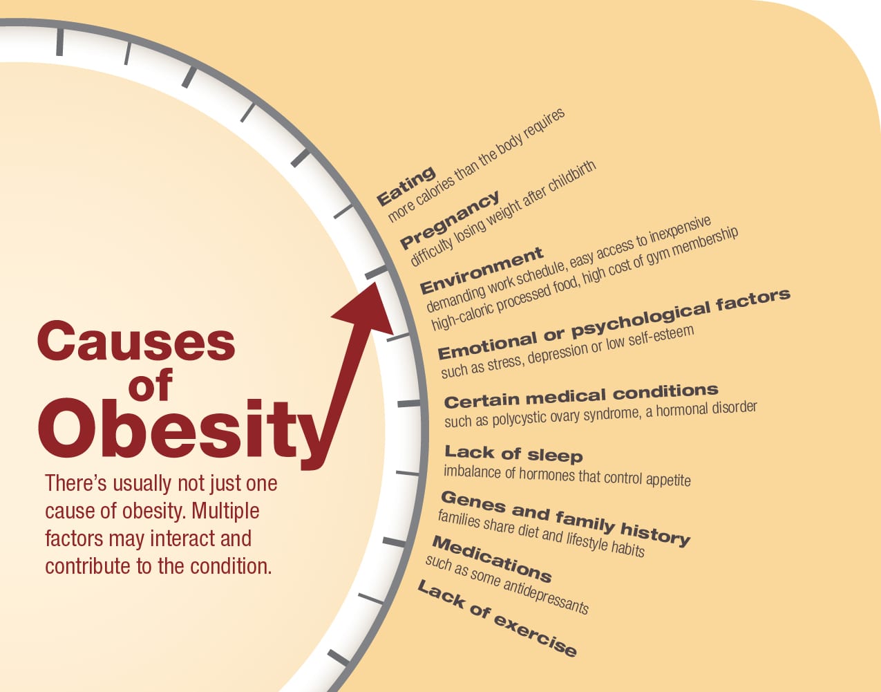 obesity causes thesis statement