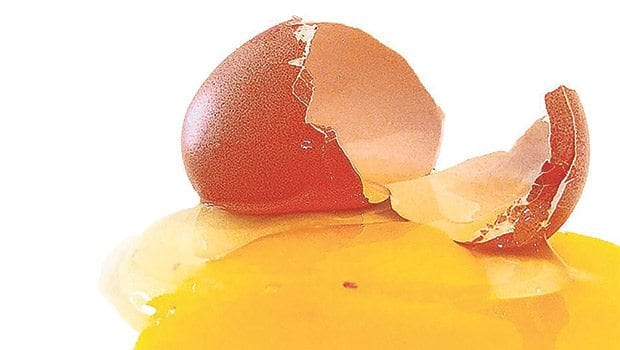 Making yolks: For best results, fresh eggs need a little care Making yolks: For best results, fresh eggs need a little care