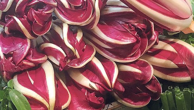 Face chicory flavor head-on with radicchio Face chicory flavor head-on with radicchio