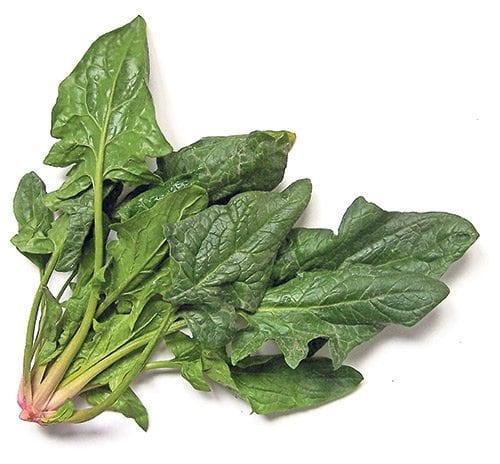 Know your spinach: Find the best of the bunch Know your spinach: Find the best of the bunch