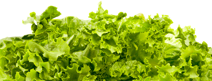Leafy greens – a powerhouse of nutrition Leafy greens – a powerhouse of nutrition