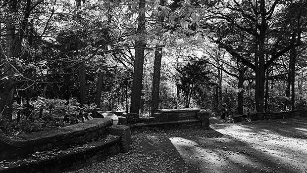Photographer Robin Radin turns her lens on Franklin Park Photographer Robin Radin turns her lens on Franklin Park