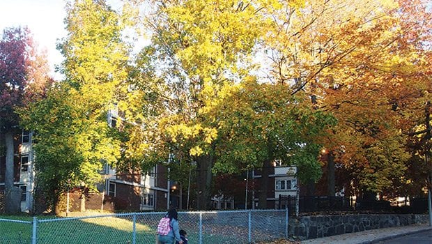 City seeks innovative housing proposals for Roxbury City seeks innovative housing proposals for Roxbury