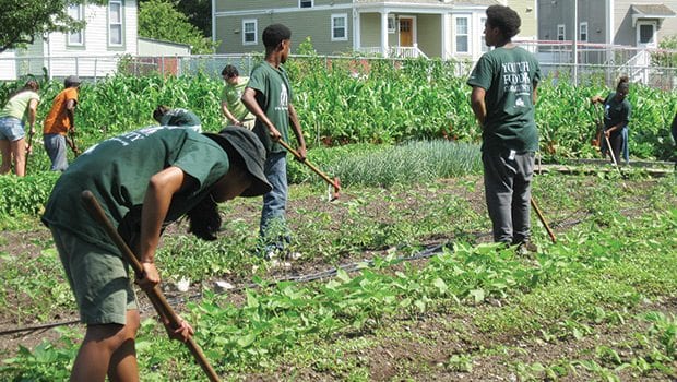 Taking Root with an urban farming revolution in Boston