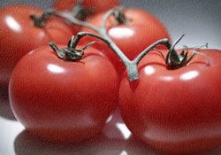 Find the best foods to fight cancer in produce aisles Find the best foods to fight cancer in produce aisles