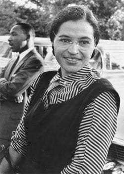 Biography dispels myths about legend of Rosa Parks