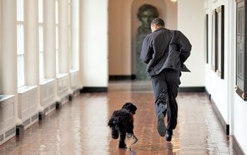 Year in Review: Obama Year in Review: Obama