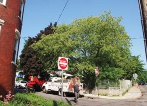 A developer has proposed eight units for this 10,600 square foot lot at the corner of Moreland and Montrose Streets. Banner Photo