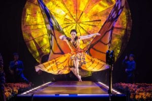 Cirque du Soleil performance Photo: Matt Beard