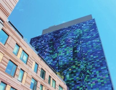 Dragon Slayer: New Fenway mural encourages collective action