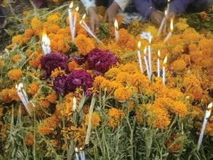 Marigolds adorn a tomb in San Andrés Larrainzar during Todos Santos. PHOTO: ALICIA LÓPEZ RUÍZ