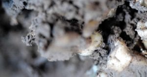 Maya Watanabe, “Liminal,” 2019. Still from video. COURTESY OF ROSE ART MUSEUM.