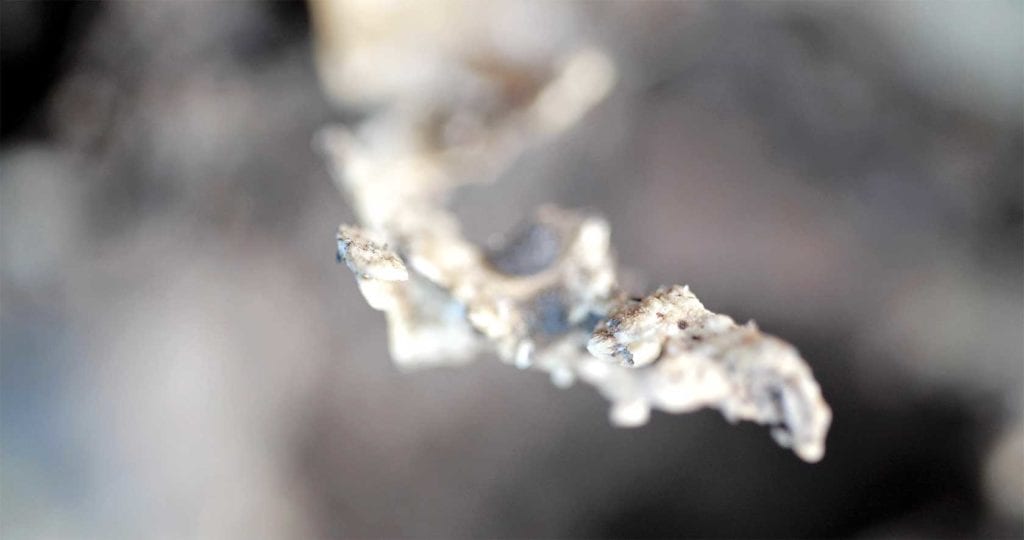 Maya Watanabe’s ‘Liminal’ packs a punch Maya Watanabe’s ‘Liminal’ packs a punch