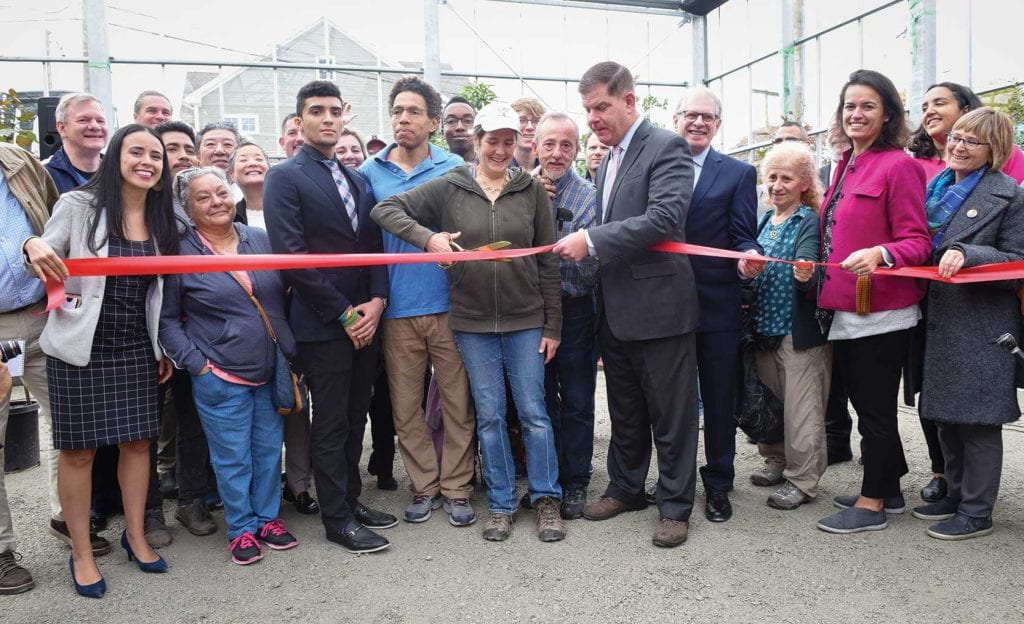 Urban farm greenhouse opens in Hyde Park