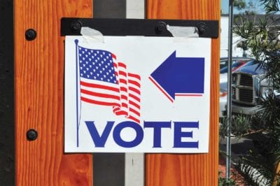 Experts call for election integrity measures