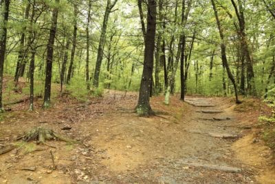 Black Walden came first; Thoreau, after