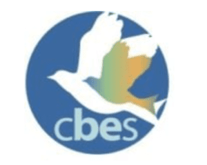 Central Boston Elder Services