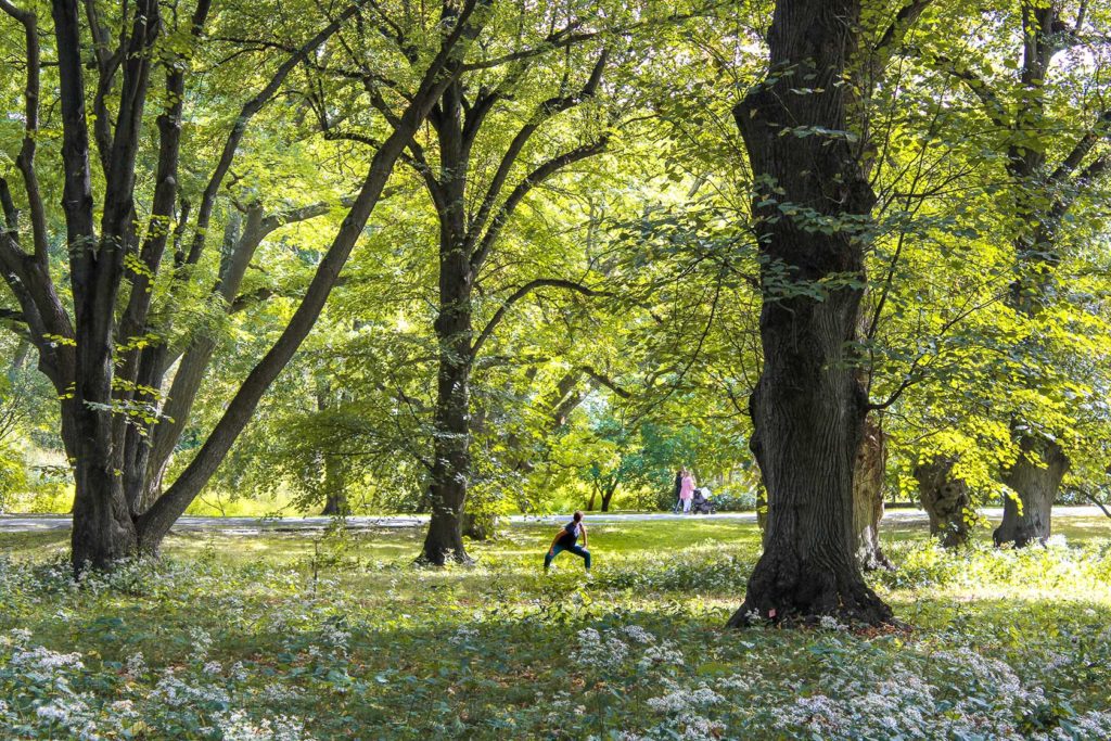 American Repertory Theater brings sound and movement experience to Arboretum American Repertory Theater brings sound and movement experience to Arboretum