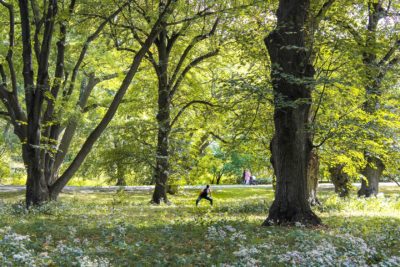 American Repertory Theater brings sound and movement experience to Arboretum