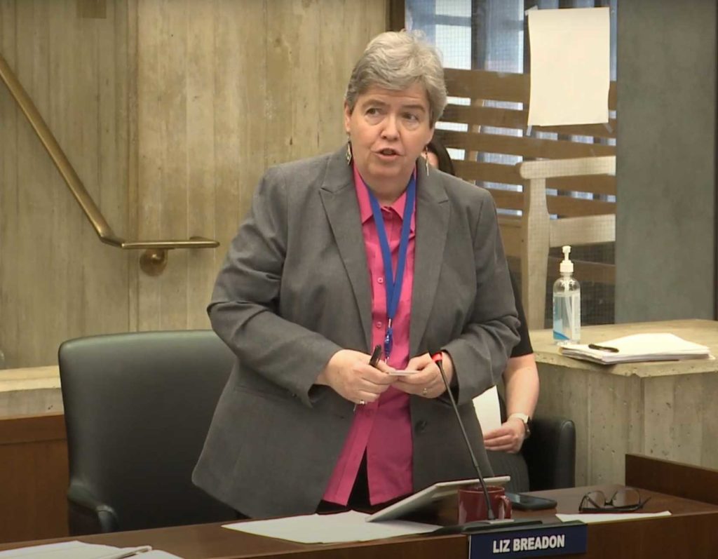City councilors consider virtual access mandate City councilors consider virtual access mandate