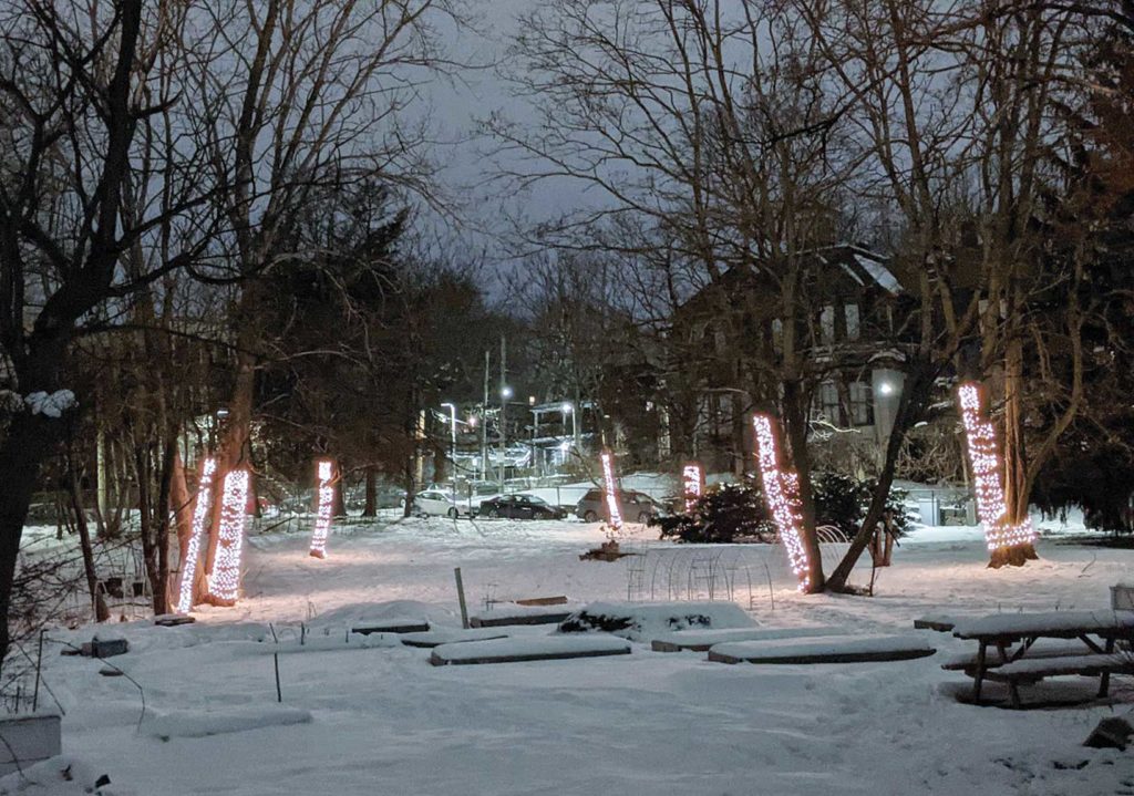 Roxbury’s Highland Park trees “breathe” in ‘Winterlights’ installation