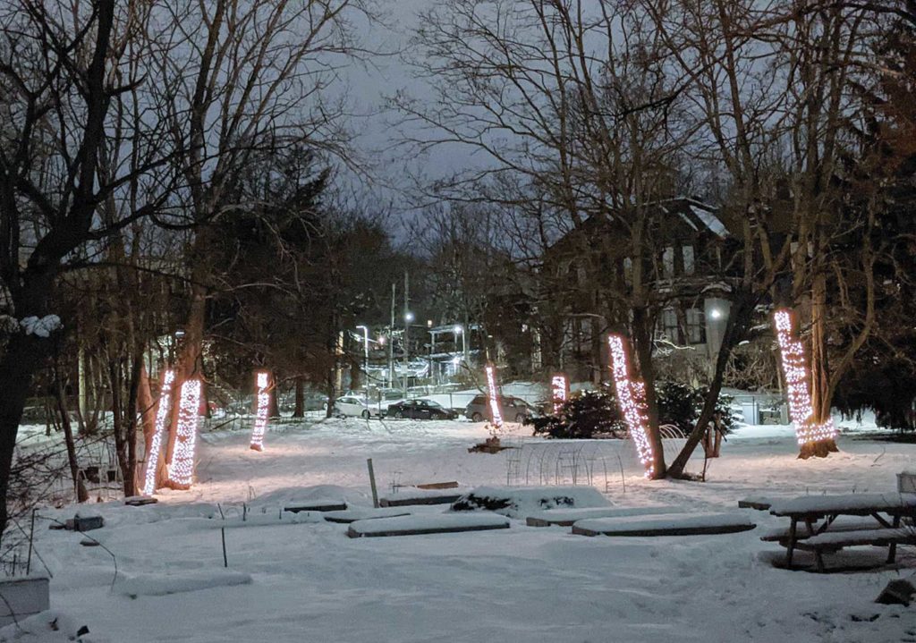 Roxbury’s Highland Park trees “breathe” in ‘Winterlights’ installation Roxbury’s Highland Park trees “breathe” in ‘Winterlights’ installation
