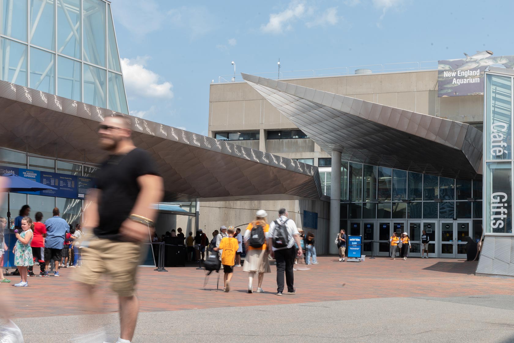 Plan Your Visit - New England Aquarium