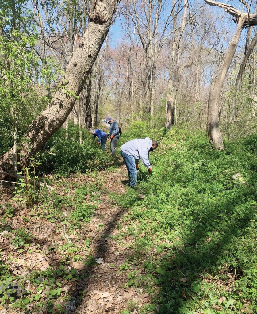 Mattapan ‘urban wild’ slated for restoration Mattapan ‘urban wild’ slated for restoration