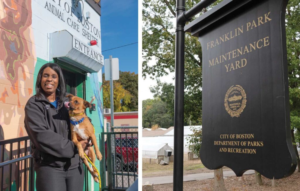 City proposes animal shelter in Franklin Park City proposes animal shelter in Franklin Park
