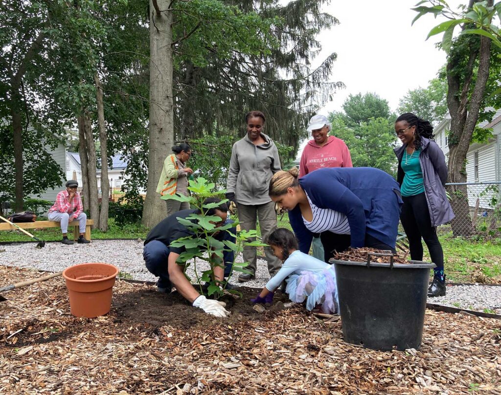 City’s community garden program supports fresh food, environmental benefits
